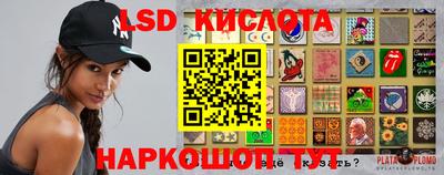 гидропоника Балашиха
