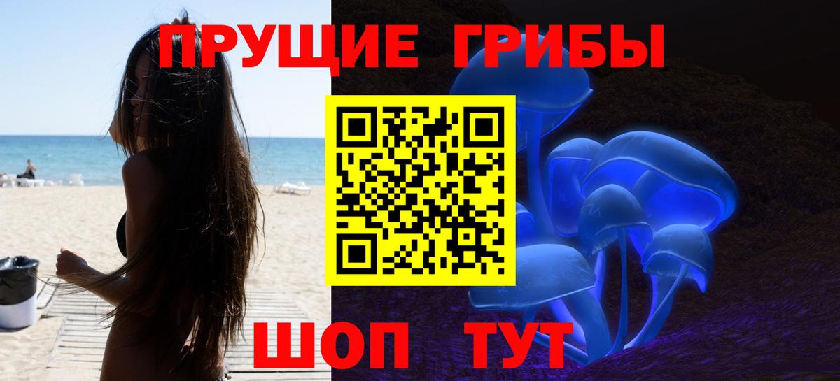 Галлюциногенные грибы GOLDEN TEACHER  магазин продажи наркотиков  Апрелевка  Вход с VPN  Псилоцибиновые грибы прущие грибы 